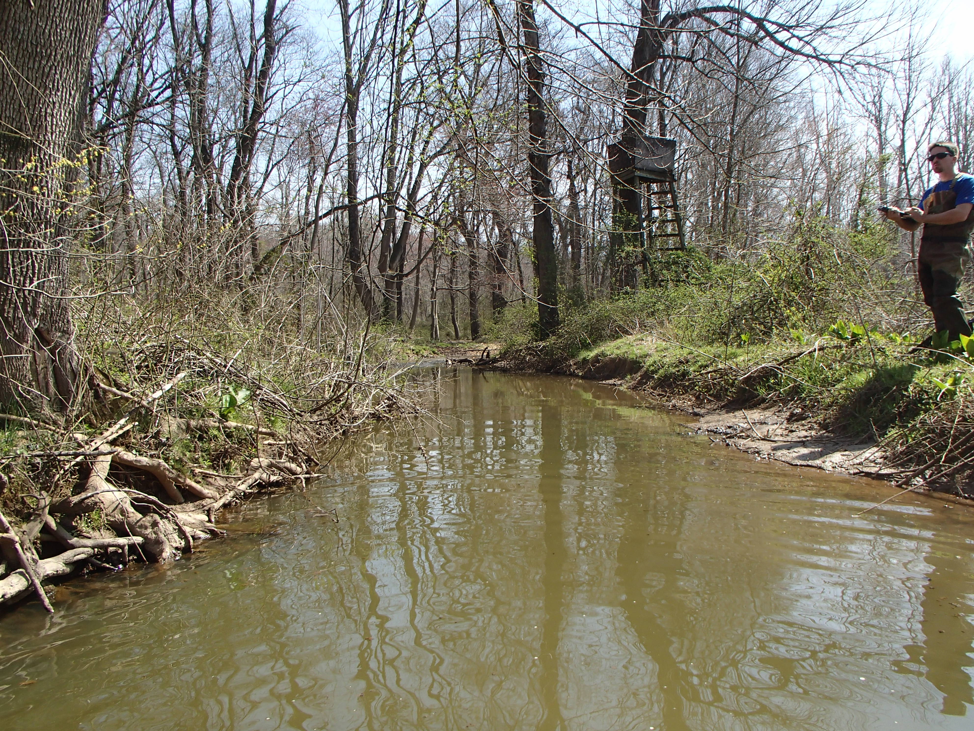 Field photo showing stream conditions at site MICR-202-R-2016_Midpoint looking downstream